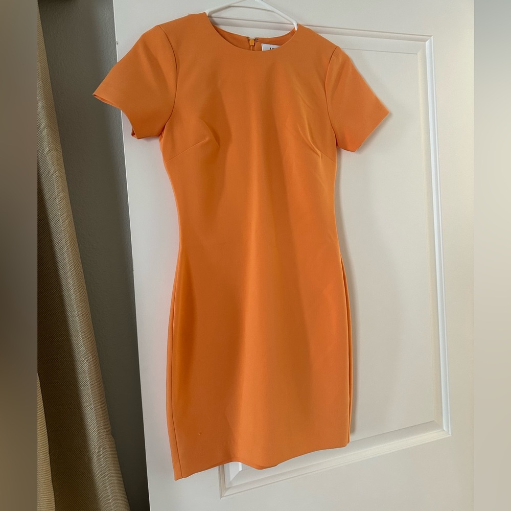 LIKELY fitted dress